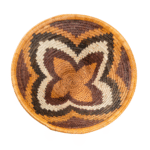 Forehead of The Zebra