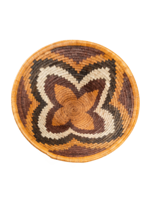 Forehead of The Zebra