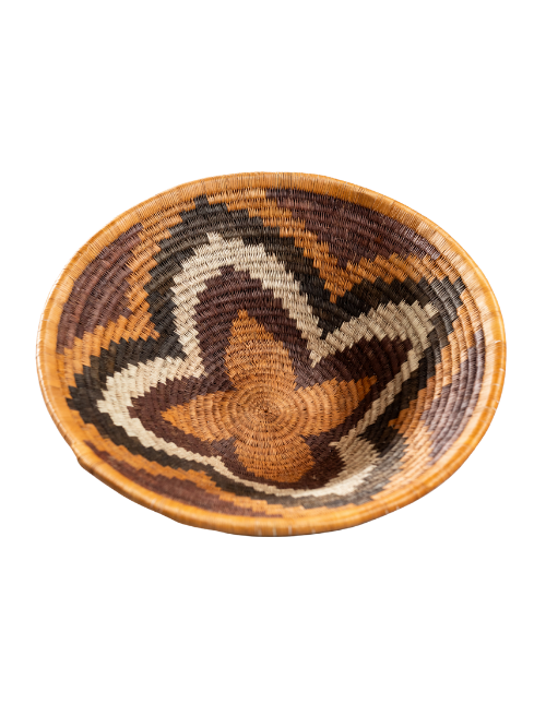 Forehead of The Zebra