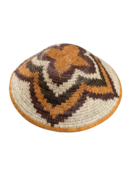 Forehead of The Zebra