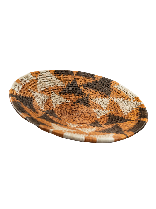 Tears of The Giraffe ( Mahodhi Homvashe)