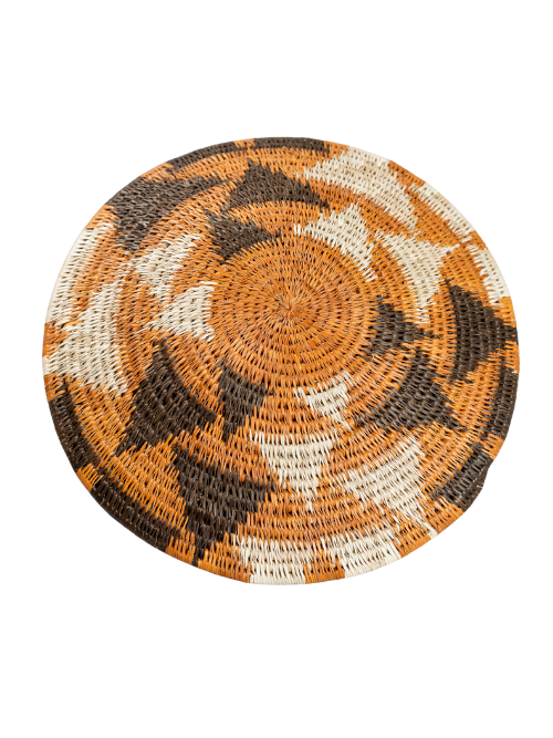 Tears of The Giraffe ( Mahodhi Homvashe)