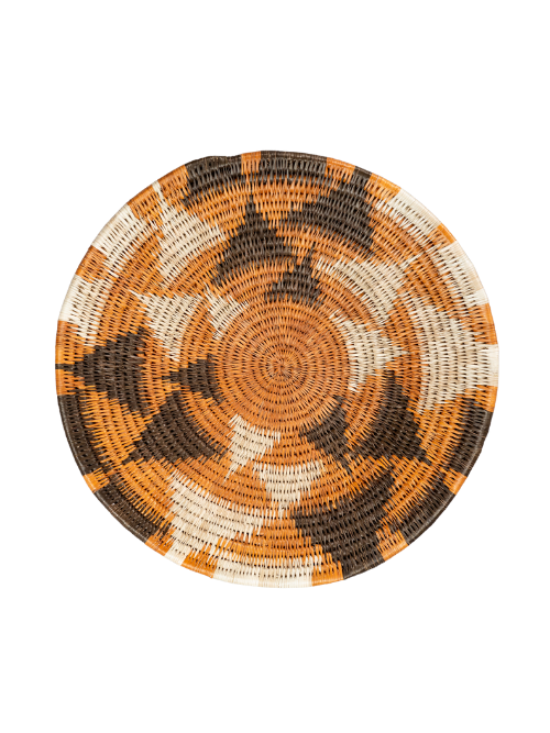 Tears of The Giraffe ( Mahodhi Homvashe)