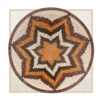 FOREHEAD OF THE ZEBRA