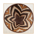 FOREHEAD OF THE ZEBRA