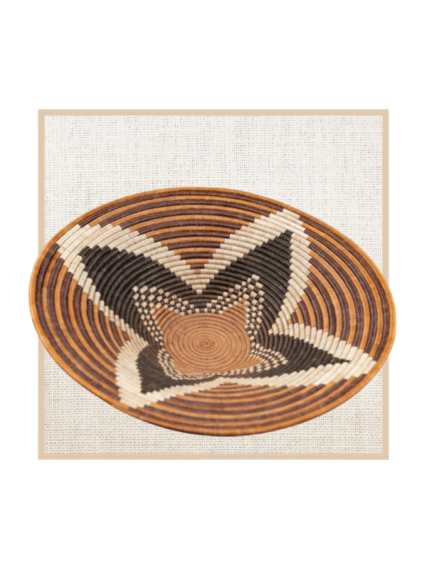 FOREHEAD OF THE ZEBRA