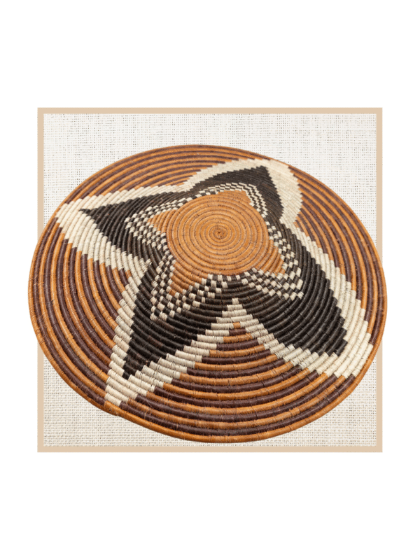 FOREHEAD OF THE ZEBRA