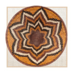 FOREHEAD OF THE ZEBRA