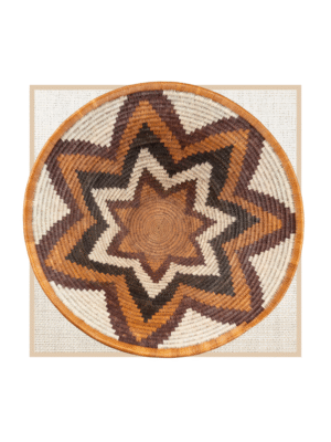 FOREHEAD OF THE ZEBRA