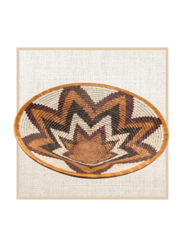 FOREHEAD OF THE ZEBRA