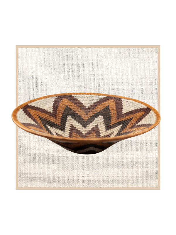 FOREHEAD OF THE ZEBRA