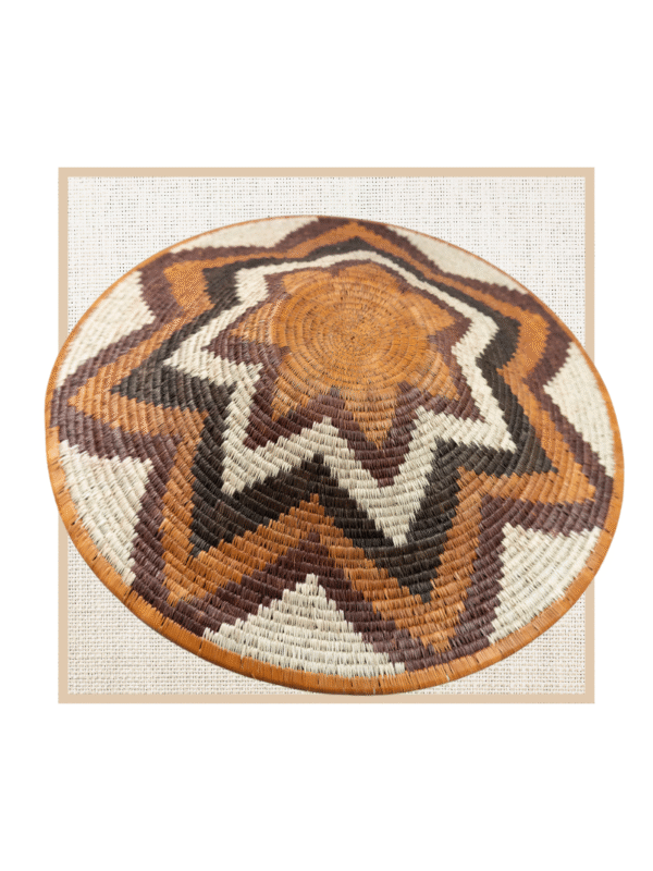 FOREHEAD OF THE ZEBRA