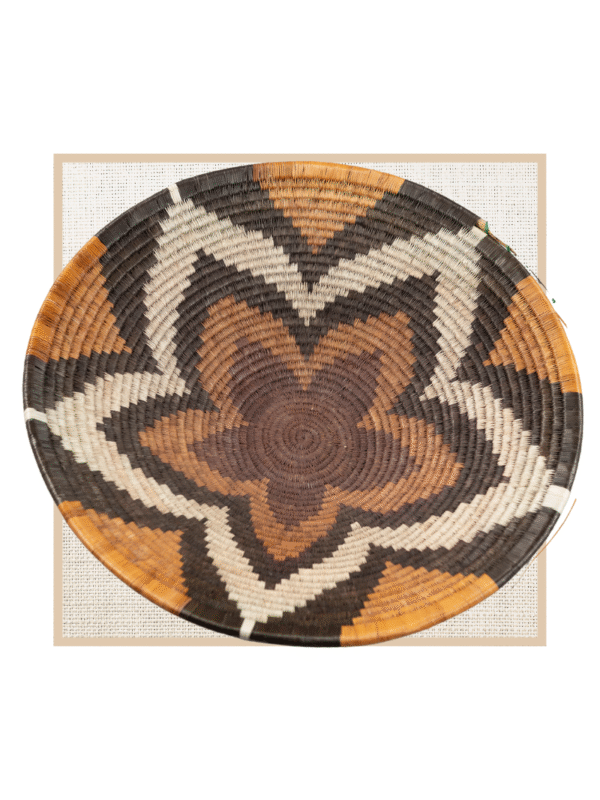 FOREHEAD OF THE ZEBRA 2nd Generation