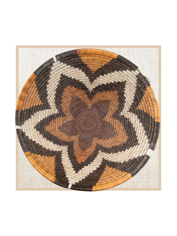 FOREHEAD OF THE ZEBRA 2nd Generation