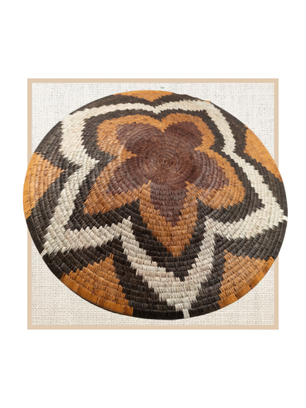 FOREHEAD OF THE ZEBRA 2nd Generation